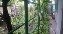 Пропонується Квартира на своїй землі поряд із центром. Згодні на программи ' Є відновлення' фото 17 Пропонується Квартира на своїй землі поряд із центром. Згодні на программи ' Є відновлення' фото 17