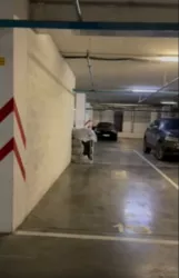 ������ �������� ����������� ������� ���� 14