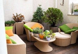 ��������� �������� ������������ ���. (������� ��������), 18, �����, �������, ����������� ���� 19