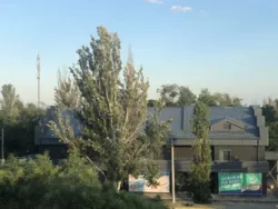 1-������� �������� � ��������� ���� 5