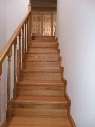 '�����' �� �������� - �������� � �������� ���� 5