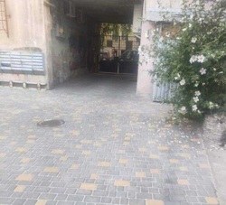 Продається квартира Садова вул., 15, Одеса, Одеська, Приморський, Центр фото 11 Продається квартира Садова вул., 15, Одеса, Одеська, Приморський, Центр фото 11