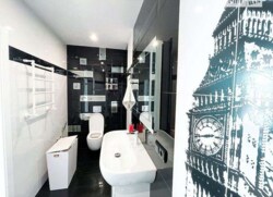 ��������� �������� ������������ ���. (������� ��������), 18, �����, �������, ����������� ���� 17