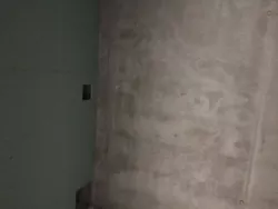 1-��������� �������� � 54 '���������' ���� 29