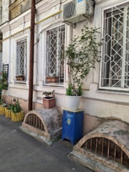 Затишна квартира в центрі Одеси! фото 3 Затишна квартира в центрі Одеси! фото 3