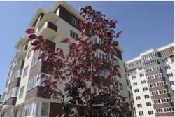 Простора квартира в сучасному комплексі ЖК Золота Ера, вид на море фото 1 Простора квартира в сучасному комплексі ЖК Золота Ера, вид на море фото 1