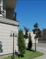 2-������� �������� � �� '�������' ���� 2