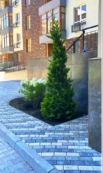 �������� �������� � �������� � ������� �� '���� г�'���'! ��� �� ����! ���� 9