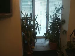 ��������� �������� ������� ������������, 16, �����, �������, ������������� (�����������) ���� 4