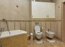 ��������� �������� ���������� ����� (���������� �����), 5�, �����, �������, ����������� ���� 15