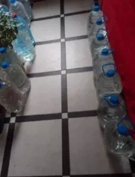 Продається квартира Артилерійська вул., 4в, Одеса, Одеська, Приморський фото 12 Продається квартира Артилерійська вул., 4в, Одеса, Одеська, Приморський фото 12