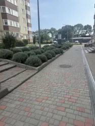 1-�� ������� �������� � �� '������ ���' ���� 2