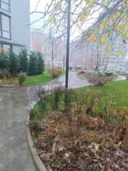 ����������� �������� ������ ����� �� '��������� ����' ���� 1