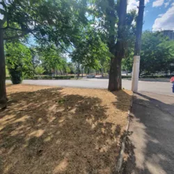 2-������� �������� �� 4-��. �������� ������� ���� 21