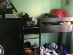 ��������� �������� �������������� ���., 57, �����, �������, �����������, ���������� ���� 5