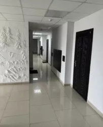 ��������� �������� ������ ����������� ���., 37�, �����, �������, ������������� (�����������) ���� 7