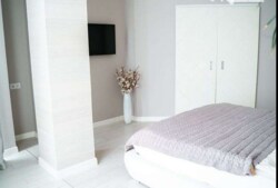 ��������� �������� ������������ ���. (������� ��������), 18, �����, �������, ����������� ���� 6