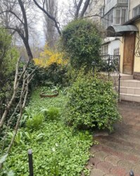 Черемушки.Квартира з власним доглянутим палісадником фото 1 Черемушки.Квартира з власним доглянутим палісадником фото 1