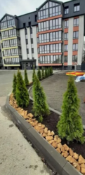 1 кімнатна в 'Акварель' фото 1 1 кімнатна в 'Акварель' фото 1