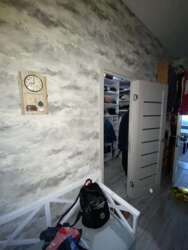 ��������� �������� ������������ ������ ���., 55�, �����, �������, ��������, ������ ���� 5