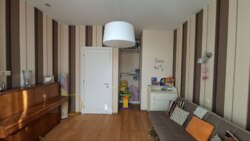 ���������� �������� ��� ����� �������� �� ����� ���� ��� ������� ������ ���� 17