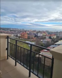 ��������� �������� ��������� ����. (��������. �-�), 6, �����, �������, ������������ (������������), ����������� ���� 11