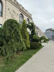 3-кімн квартира ЖК Авторський 122 кв.м Тераса 80 кв.м 2 Санвузла Поруч море фото 1 3-кімн квартира ЖК Авторський 122 кв.м Тераса 80 кв.м 2 Санвузла Поруч море фото 1