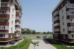 1� 50�. �� '������ ���' ���� 1