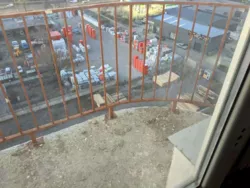 ������ ��������� 3� �������� 80� � �� ������ ĳ� ���� 54