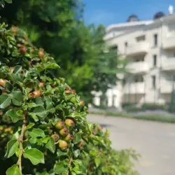 ������� �������� � �� �������� ��� ! ���� 17