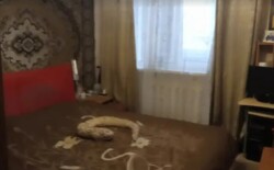 ��������� �������� ������ ����. (���. �����������), 15, �����, �������, ������������� (�����������), ��������� ���� 3