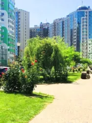 2-������� �������� � �� '������� (����)'. ����������. ���� 15