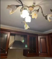 2� � �������� �� �.���� ���� 3