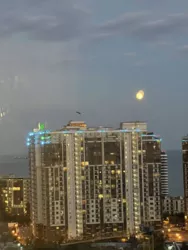 1-� �������� � �������� �� ����� ���� ���� 24