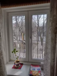 ��������� �������� �������������, 20, �����, �������, ����������� ���� 4