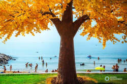 Жк. Авторський. Дорівнева квартира вартира з терасою . фото 14 Жк. Авторський. Дорівнева квартира вартира з терасою . фото 14