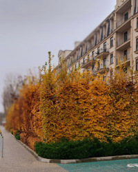 �������� � �� '���������� �����' ���� 1