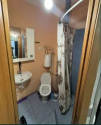 ��������� �������� ������ ����������� ���., 37�, �����, �������, ������������� (�����������) ���� 5