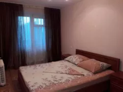 ��������� �������� ������������ ���. (���������), 33, �����, �������, ����������� ���� 3