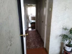 ��������� �������� ��������� ��������, 55, �����, �������, �������� ���� 5