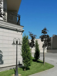 ��������� �������� ���� ������������� ���., 91, �����, �������, ��������, ������ ���� 8