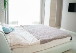 ��������� �������� ������������ ���. (������� ��������), 18, �����, �������, ����������� ���� 3