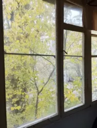 1� ����� �� �������� ���� 8