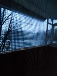 ��������� �������� ���������� �������� (���. ��������), 16, �����, �������, ������������ (������������) ���� 2