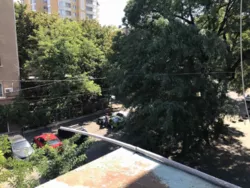 ��������� �������� ������� ���., 95, �����, �������, ����������� ���� 3