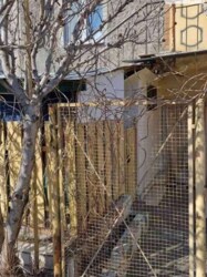 ��������� �������� ������� ���., 1/3, �����, �������, ����������� ���� 13