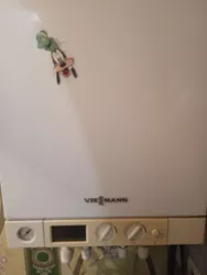 ��������� �������� �������� ��������, 40, �����, �������, ������������� (�����������) ���� 10