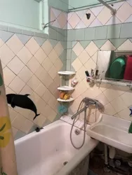 ��������� �������� ��������� �����������, 25, �����, �������, ������������ (������������), ����������� ���� 10