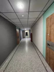 ��������� �������� ����������, 29, �����, �������, �������� ���� 5