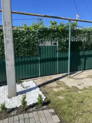 2-������� �������� �� ���� � ������������ ������ ��������� ���� ������� � ��������� ���� 4